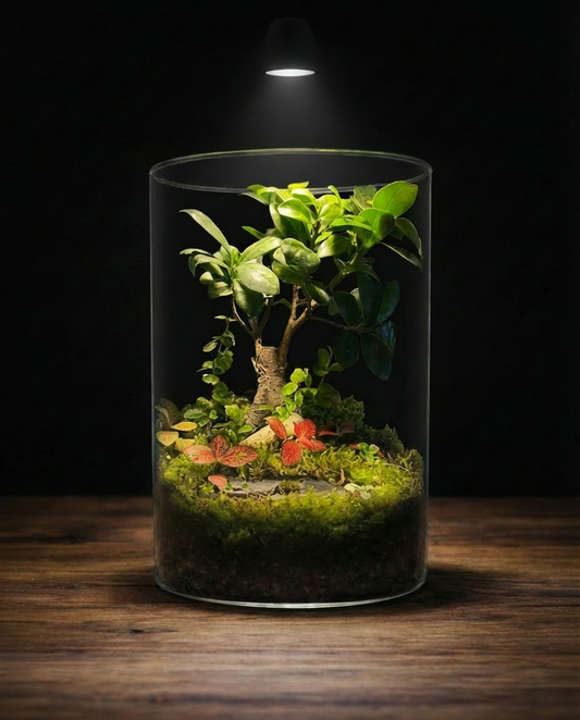 ArborOh!